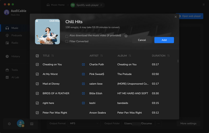 Add Music to Convert