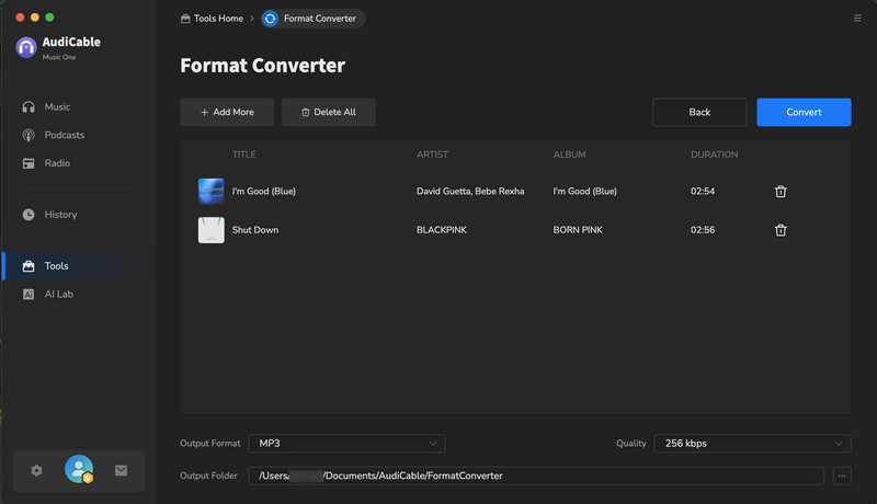 Use Format Conversion