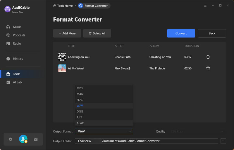 Convert Audio Format