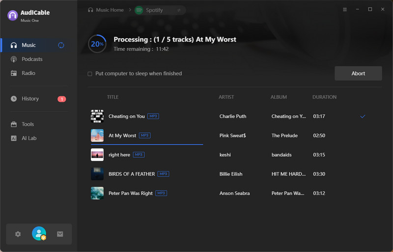 Download Spotify Music to MP3