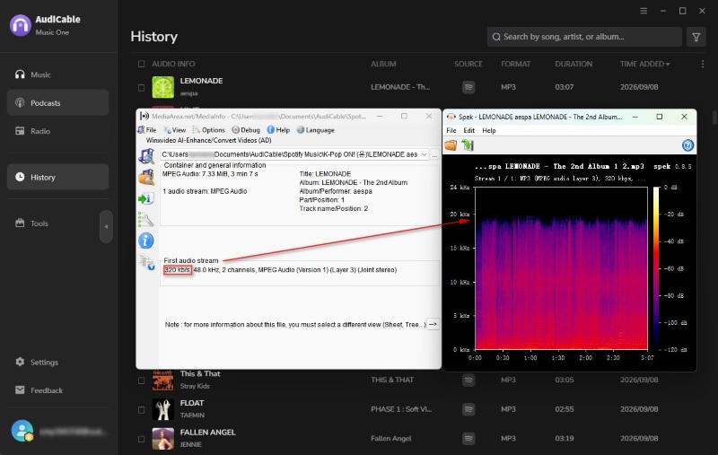 320 Kbps Audio Quality Verified
