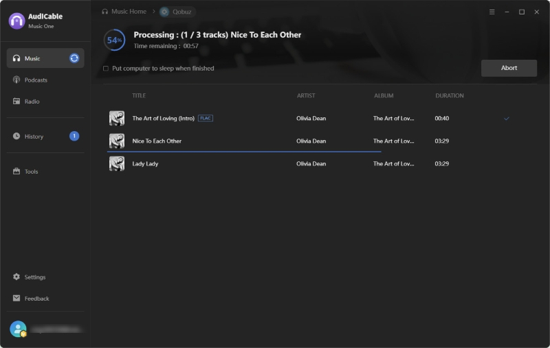 Download Qobuz Music to FLAC
