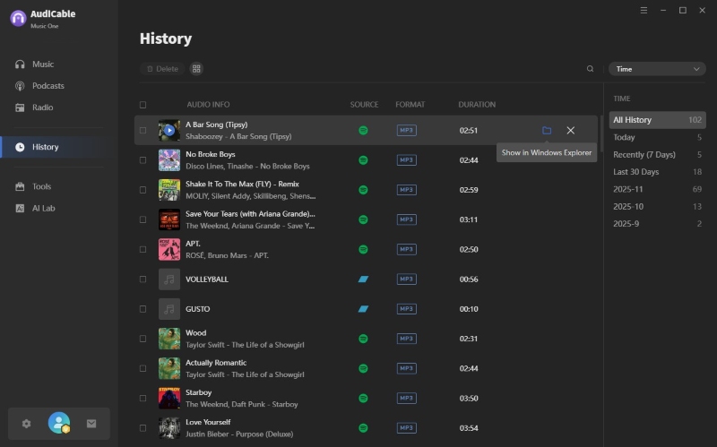 Check Downloaded New Year Songs
