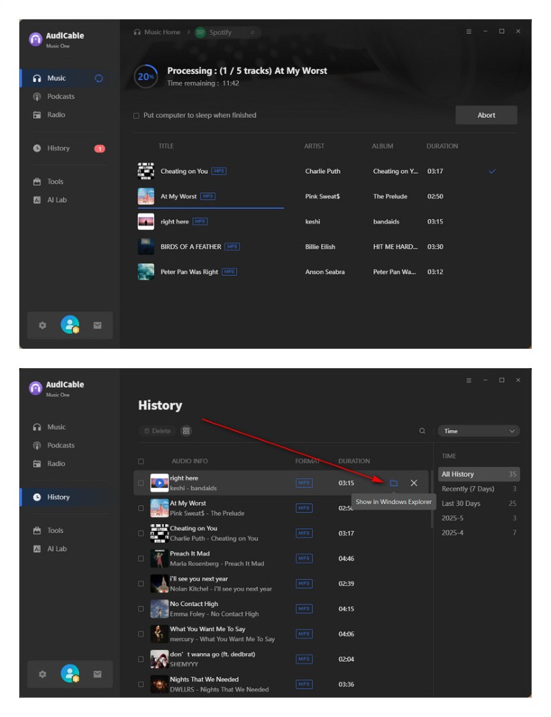 Download Songs on AudiCable