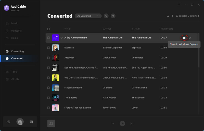 Check Downloaded Podcasts