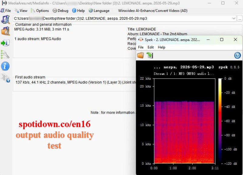 Spotidown Output Audio Quality