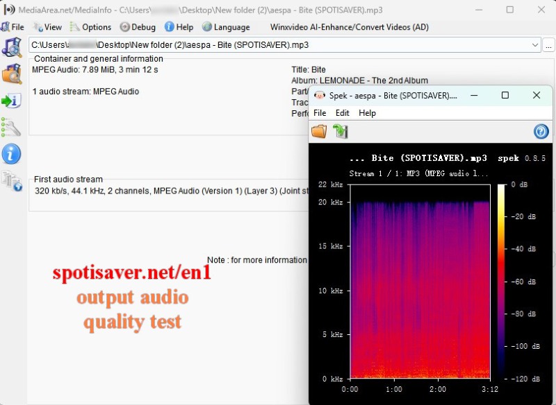 Spotisaver Output Audio Quality