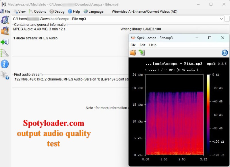 SpotyLoader Output Audio Quality