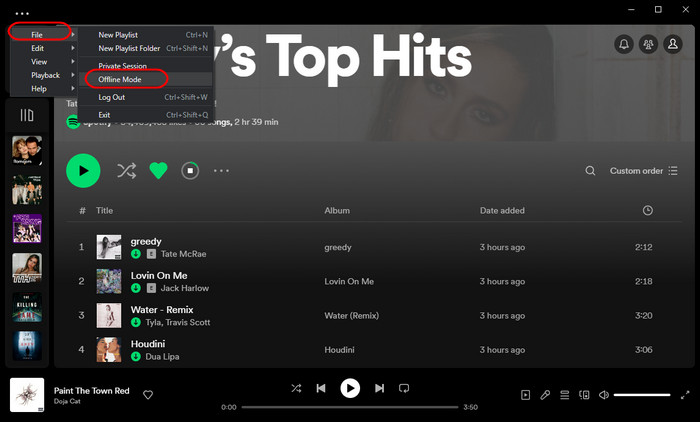 Download Spotify Music Offline