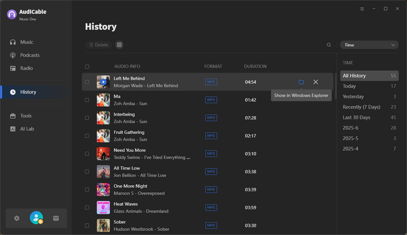 Check Downloaded Deezer MP3 Flies