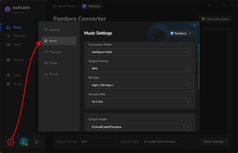 set the output parameters of Pandora Music
