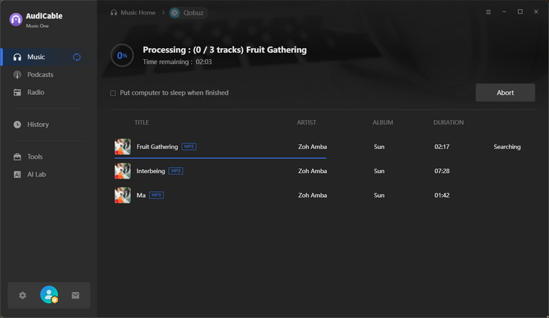 Record from Qobuz Web Player