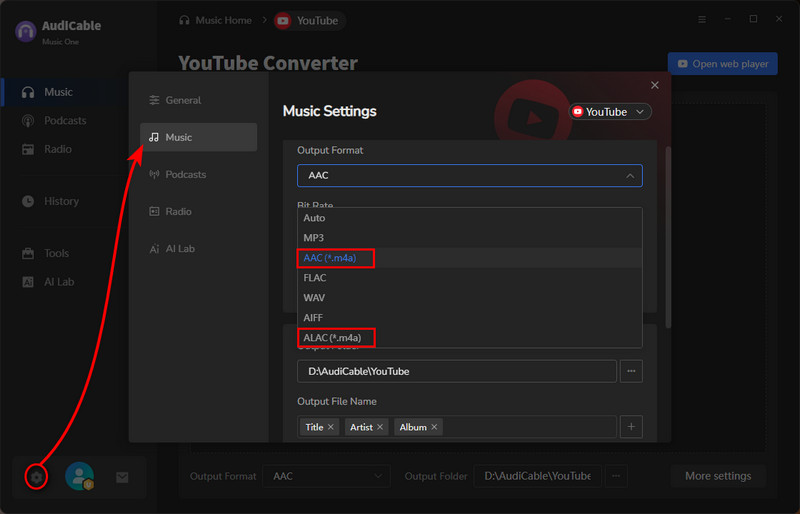 Choose M4A for YouTube